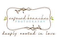 Exposed Branches Photography